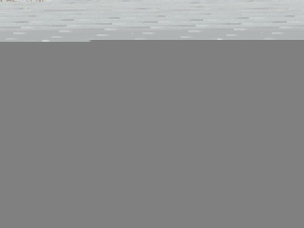 TRAFIC VIVARO 2.0 DCI M9R786 114KM 12r sprzęgło tarcza docisk 8200828444 - obrazek 4